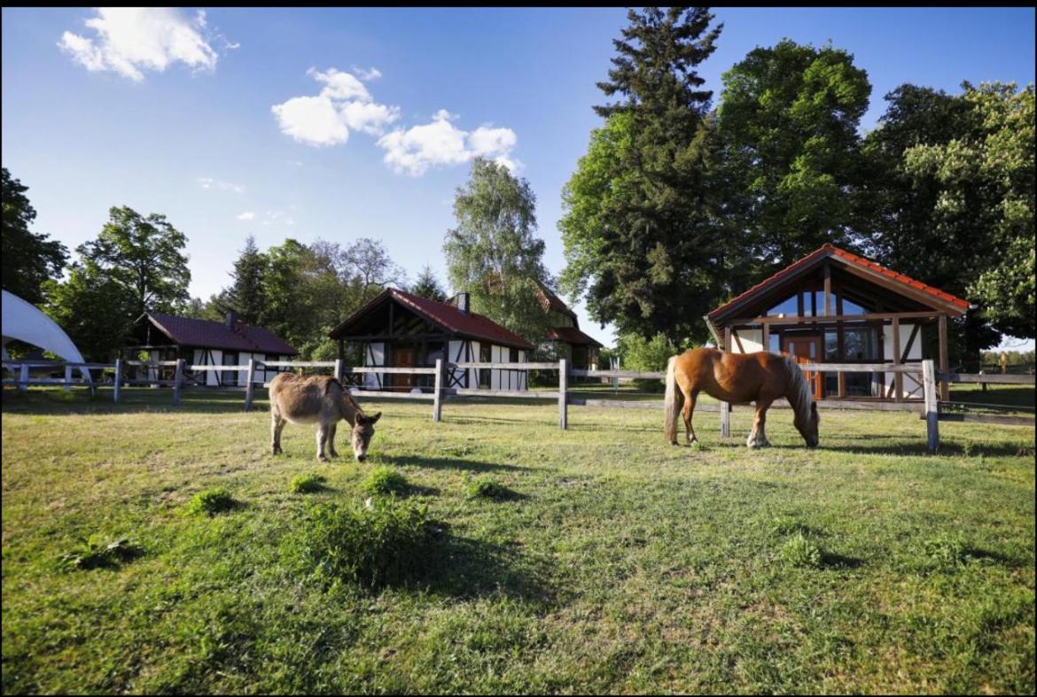 Appartement Hof Lillge à Schorfheide Extérieur photo