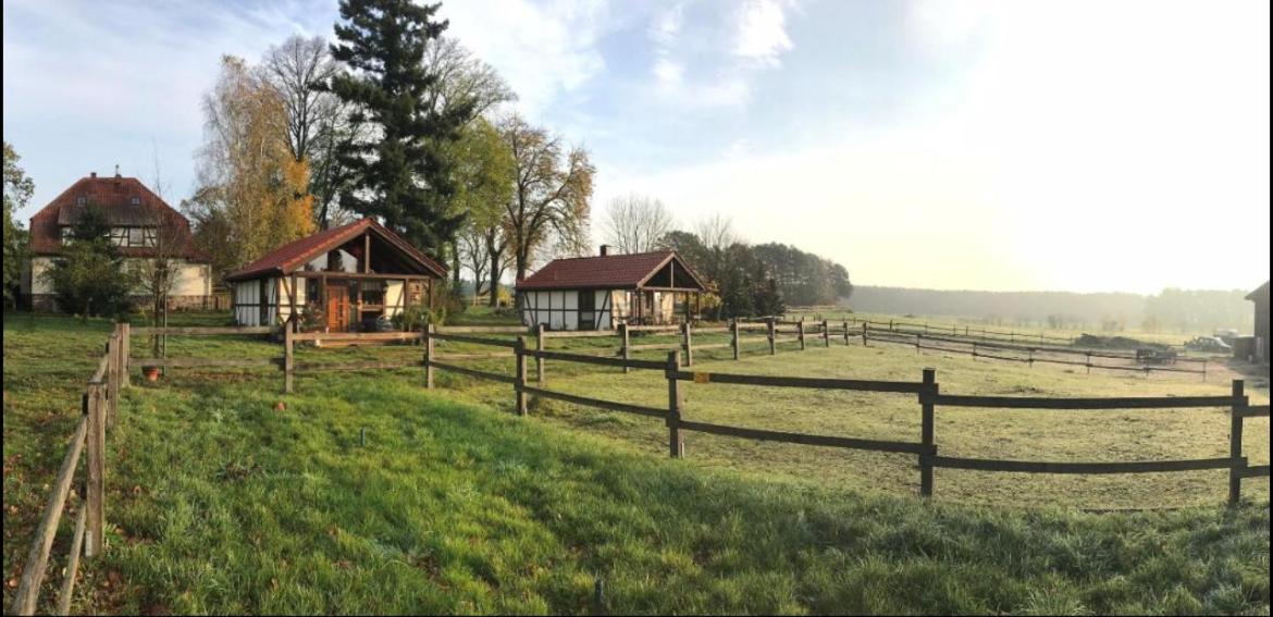 Appartement Hof Lillge à Schorfheide Extérieur photo